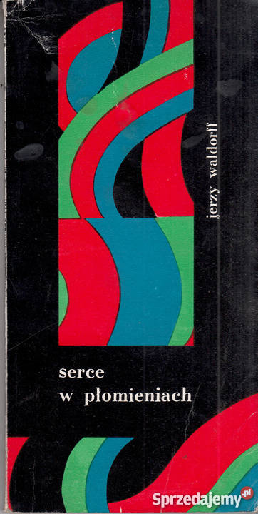 02886 SERCE W PŁO0MIENIACH OPOWIEŚĆ O KAROLU małopolskie Czyrna