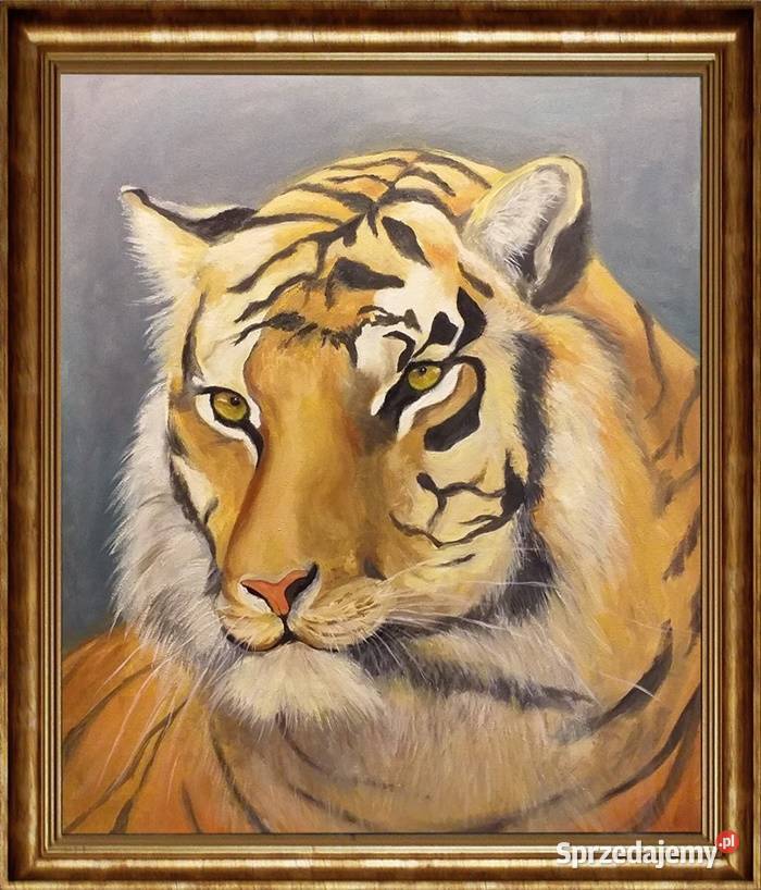 Obraz olejny Tygrys lubelskie sprzedam
