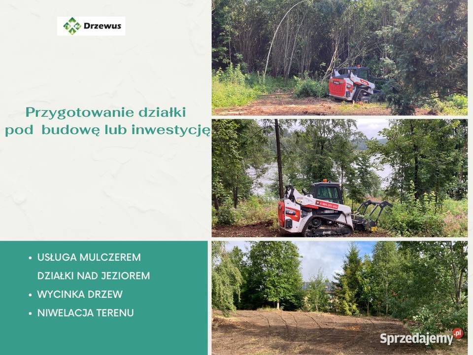 Mulczowanie nieużytków wycinka drzew i krzewów