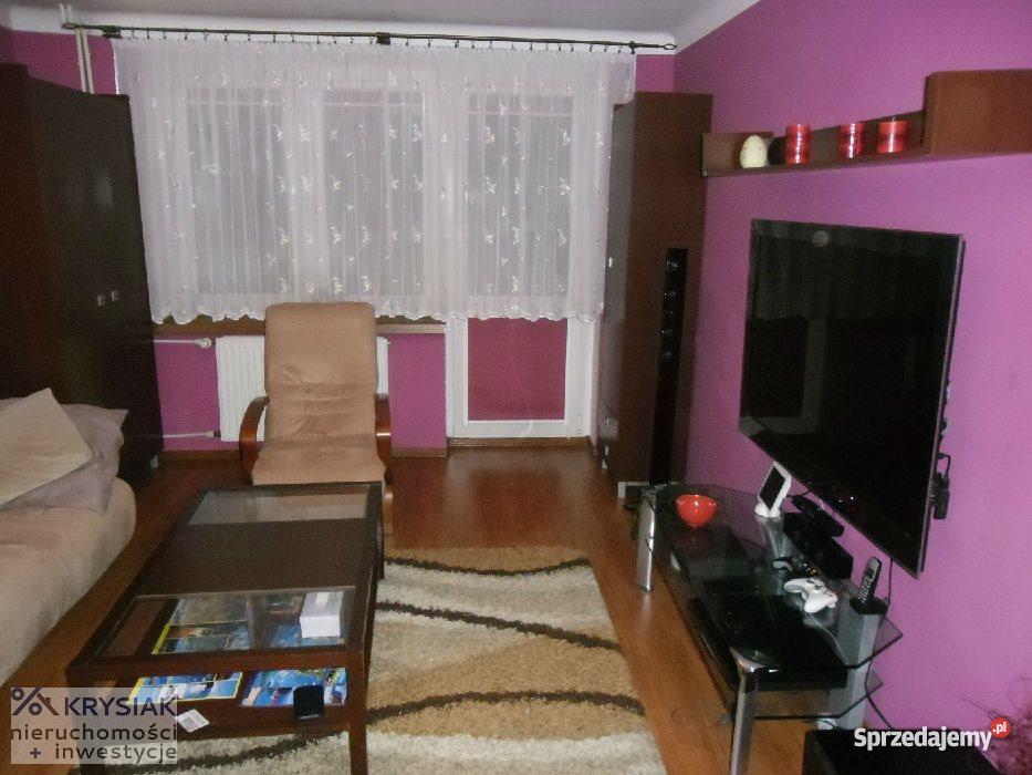 mieszkanie Sosnowiec Dańdówka 4774m2 2 pokojowe Liczba pokoi 2 Sosnowiec