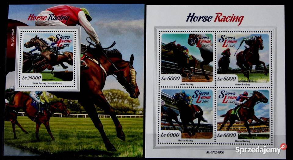 Sierra Leone sport Oborniki sprzedam