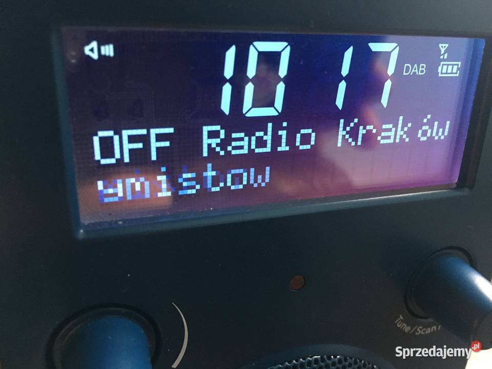 Tivoli Audio PAL bt radio bluetooth stan w pełni Kraków sprzedam