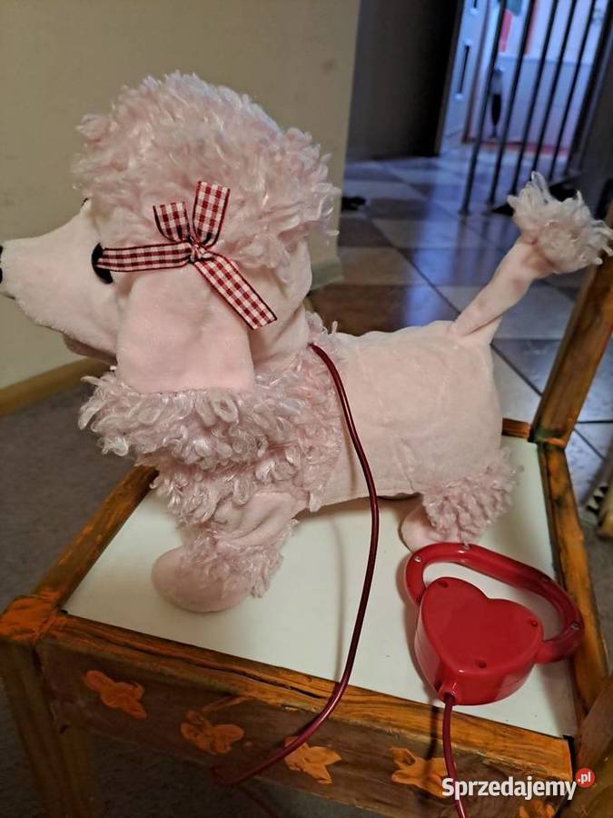 Piesek na baterie Edukacyjne Sosnowiec