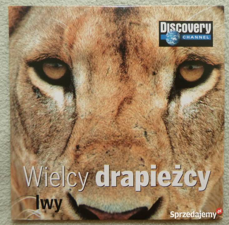 Film VCD Wielcy drapieżcy Lwy Licencja do wypożyczania mazowieckie Warszawa