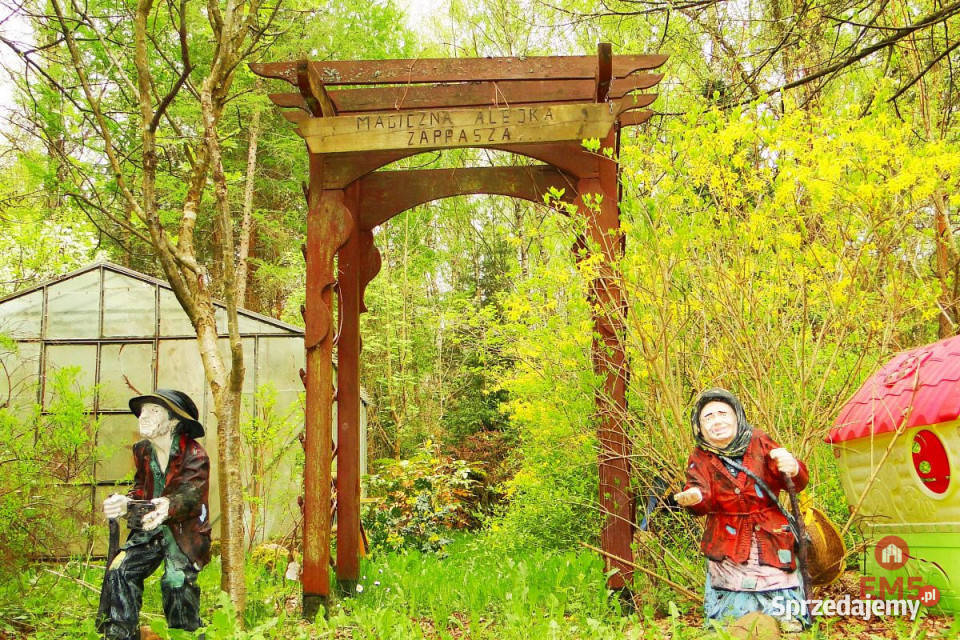 Grunt 8316m2 Rafałówka Sprzedaż