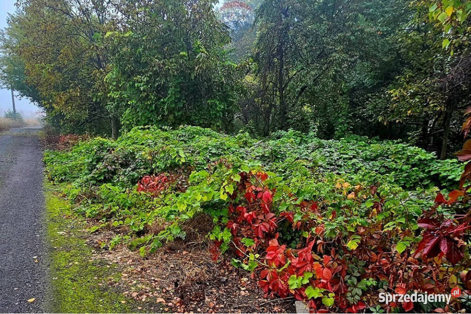 Działka budowlana centrum Dąbrowy Górniczej 100m Dąbrowa Górnicza