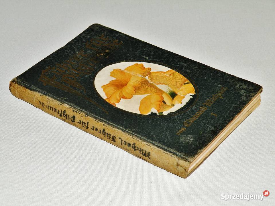 Fhrer fr Pilzfreunde E Michael Tom 1 Wyd B kujawsko-pomorskie Bydgoszcz