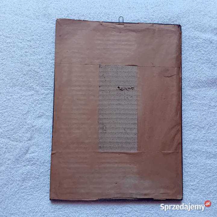 Kot zdjęcie w ramce lata 60e 70e Koźminek sprzedam