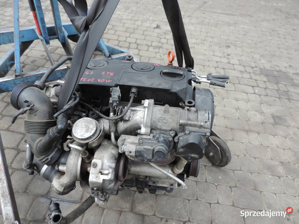 VW PASSAT B6 19 TDI 77KW 105 SILNIK BLS Rok produkcji 2006 Nowy Sącz