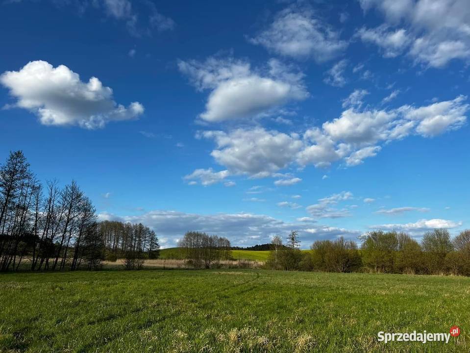 Na sprzedaż 235 ha prywatnej enklawy ze stawami Sprzedaż wielkopolskie Róża Wielka