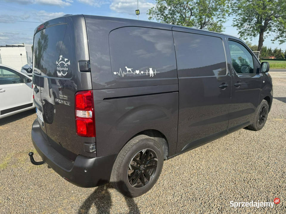 samochody kempingowe Toyota Proace navi Zbąszyń