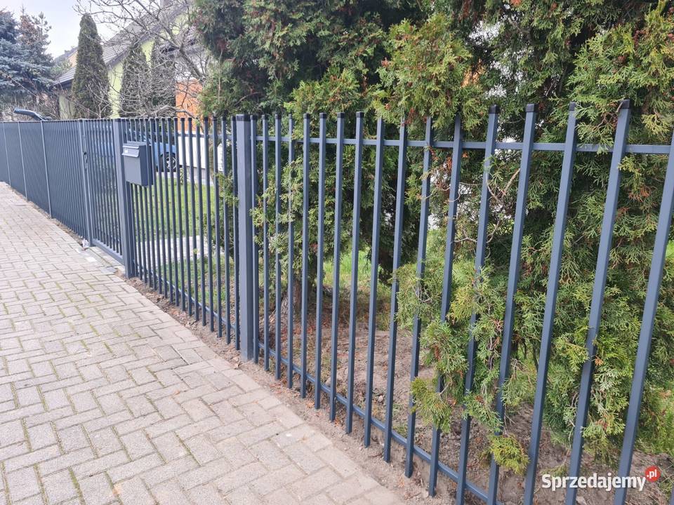 Furtka 110x150 KING ogrodzenie bramy przęsło Furtki wielkopolskie Kalisz