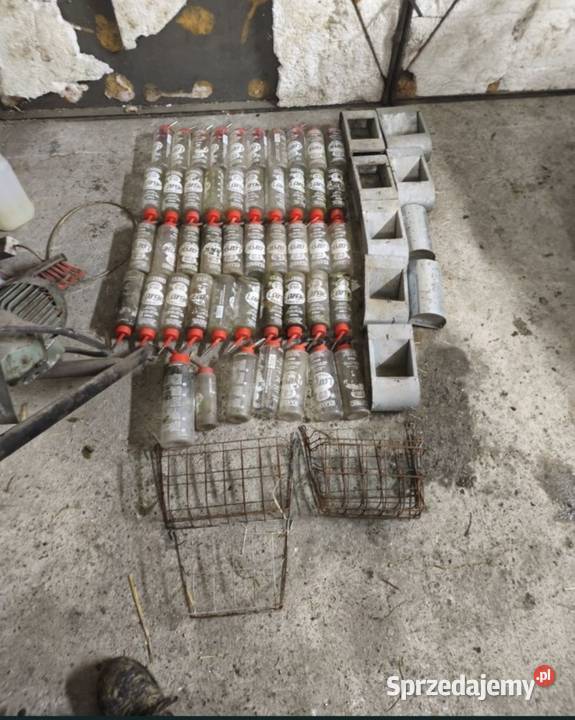 Sprzedam butelki karmiki królików