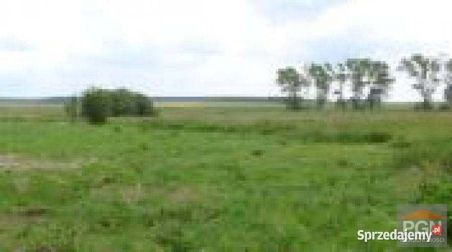 Działka Połchowo 4800m2