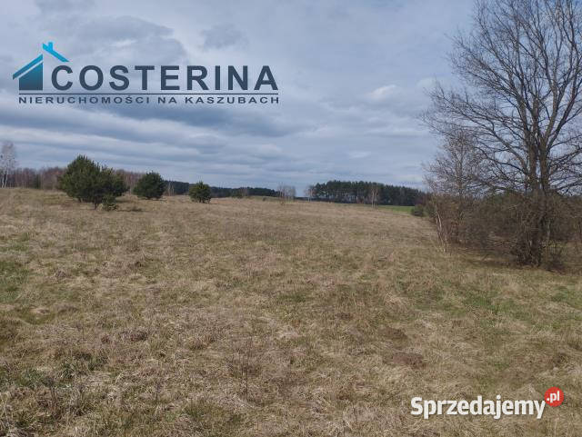 Działka Karsin 1222m2 szambo