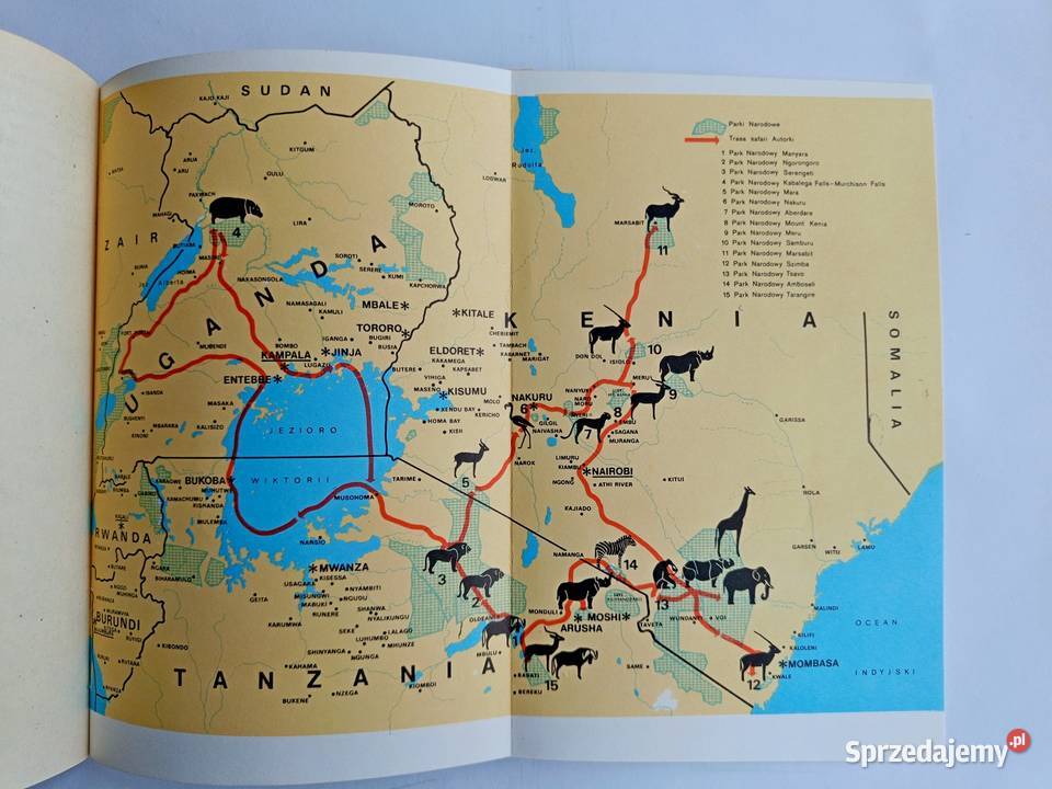 Opowieści z sawanny i buszu Ada Wińcza pomorskie Gdynia sprzedam