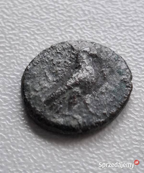 Moneta antyczna Grecja Aeolis Kyme 350250 BC 2 Wejherowo