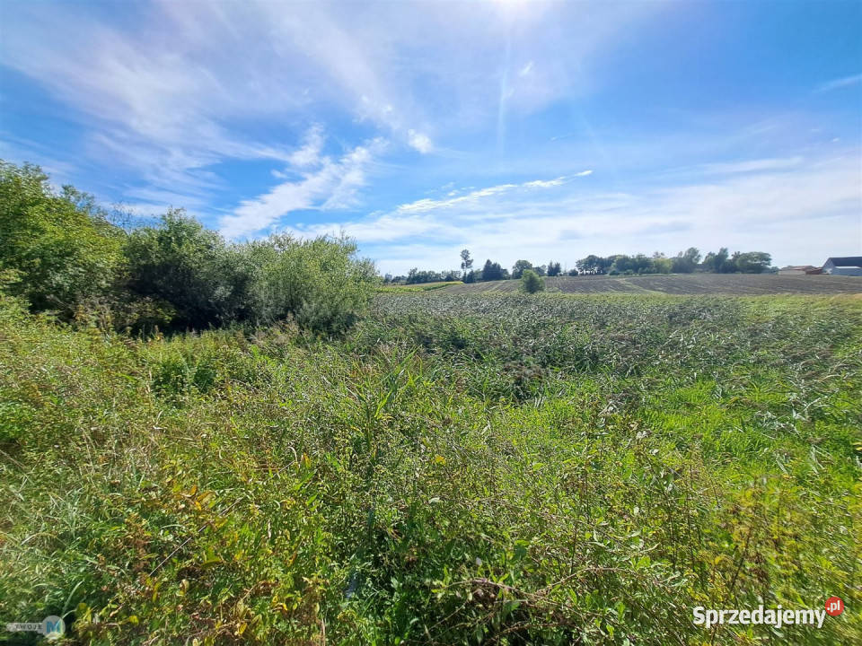 Dom wolnostojący Ożarów 135m2