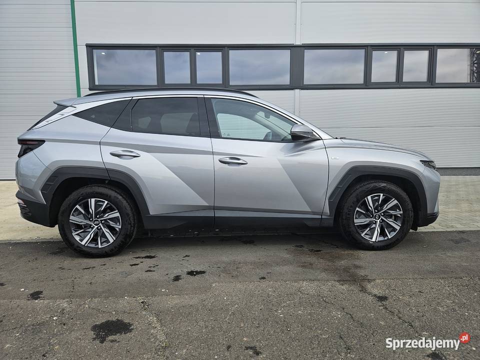 Hyundai Tucson IV 16 2023 Rok produkcji 2023 Hyundai Siemianowice Śląskie