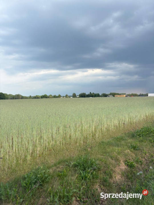 Sprzedam działkę budowlaną 1760m Kownaty gm sprzedam