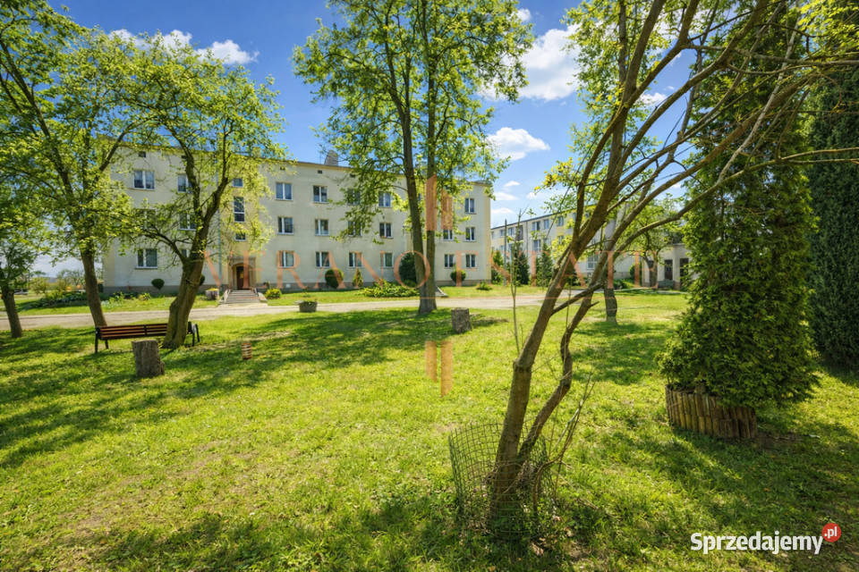 3 pokoje I Niski czynsz I Garaż w Balkon Kłudzienko