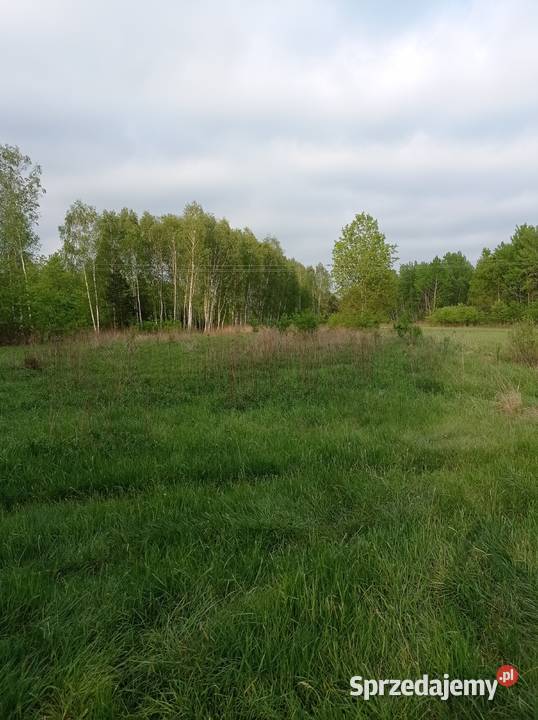 Sprzedam działkę rolną 30 arów Sprzedaż podkarpackie Sarzyna