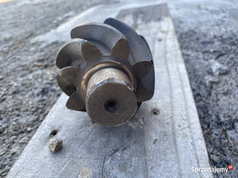 Wałek atakujący Kamień