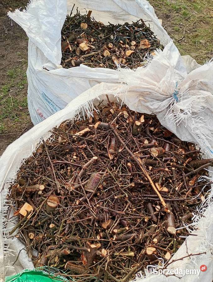 Zrębki drzewne Cewice