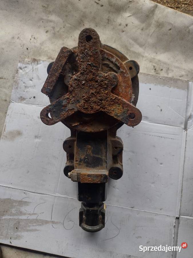 Dzwonek grzechotkowy