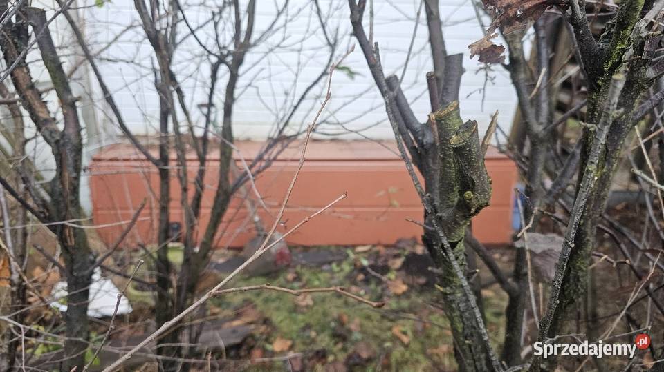 Używana brama garażowa 4 elementów segmentowa Katowice
