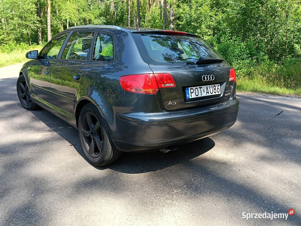 Audi A3 8P Sportback 19 TDI 105 BXE Prywatne Rok produkcji 2007 wielkopolskie Ostrzeszów