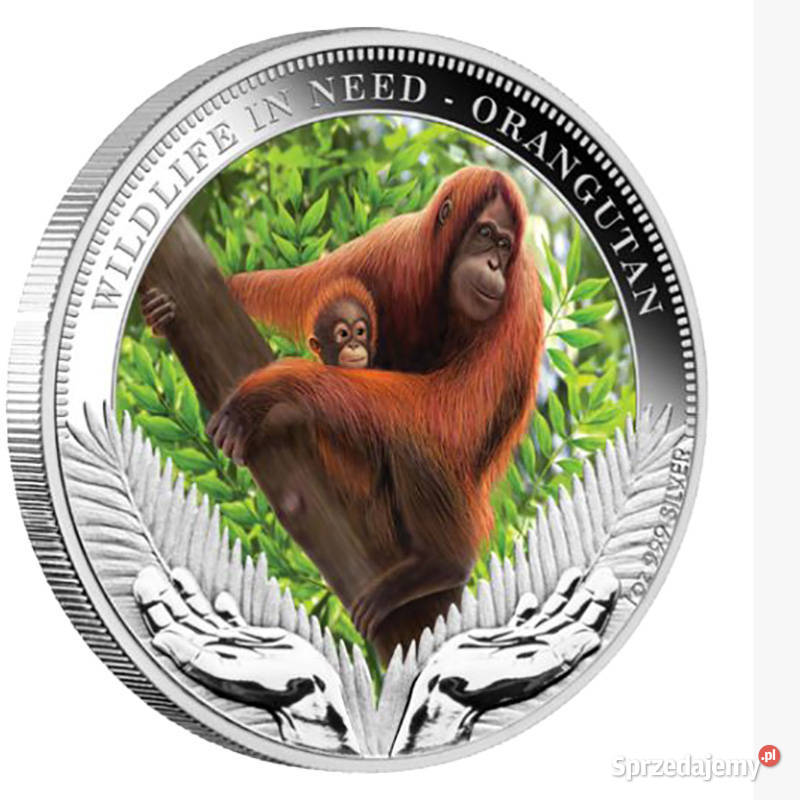 Orangutany Srebrna moneta kolekcjonerska z serii Warszawa
