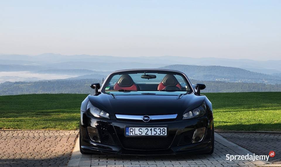 Opel GT Roadster 20 Turbo 300 Cabrio podkarpackie