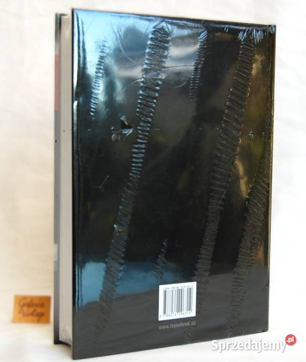 ei a Slovci ve 20 stolet Jan Rychlk nowa książka