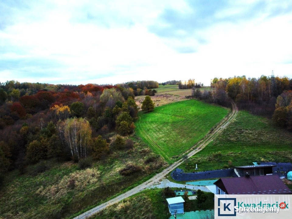 sprzedaży gruntu 7513m2 Nozdrzec sprzedam