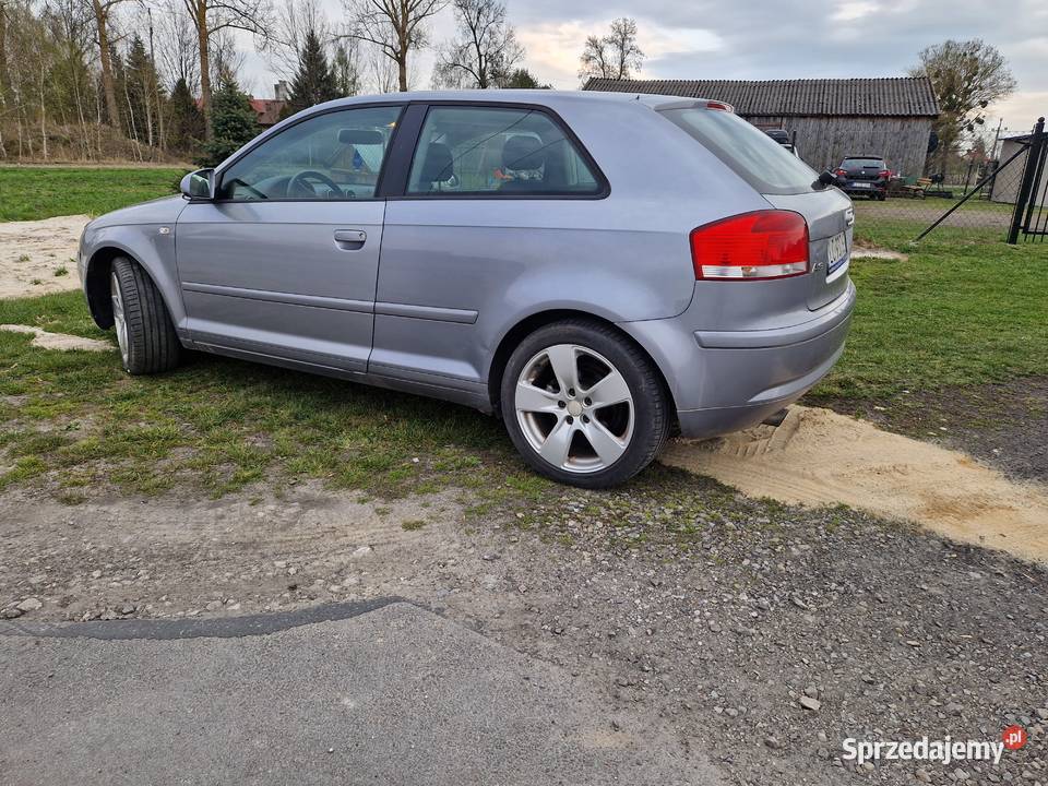 Audi a3 2004 opłaty na serwisie nieuszkodzony Siedliszcze