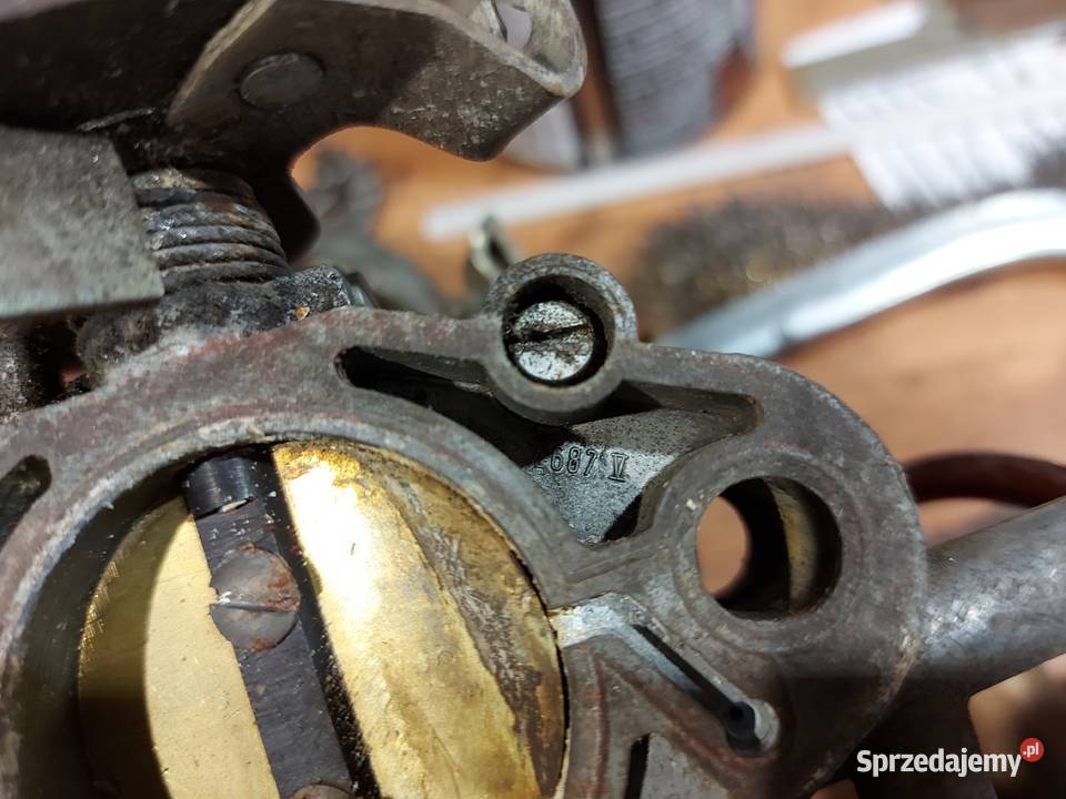 Gaźnik wielkopolskie