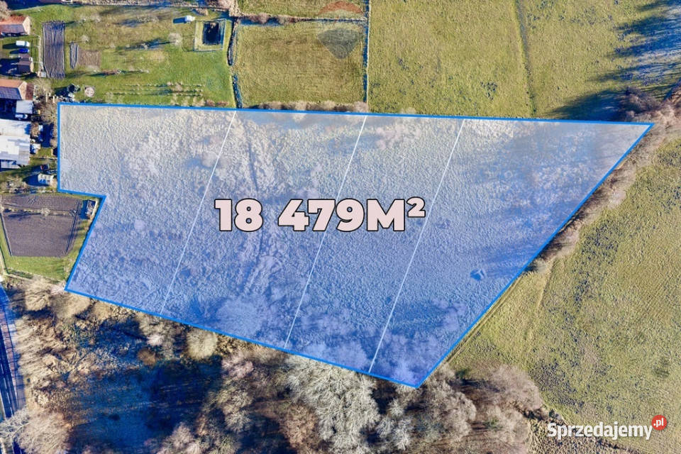Na sprzedaż 4 działki rolne łącznie 18479 m Chełm Żarski