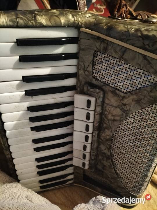 Akordeon victoria 80 basów okazja Seroczyn