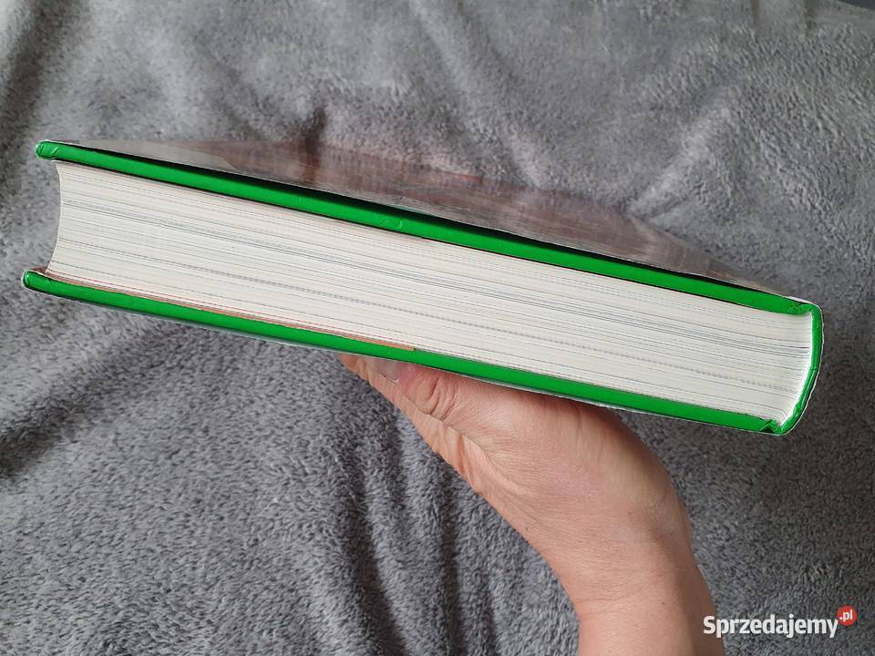 The Bronze Age of DC Comics 19701984 by Paul Rok wydania 2015 Gdynia