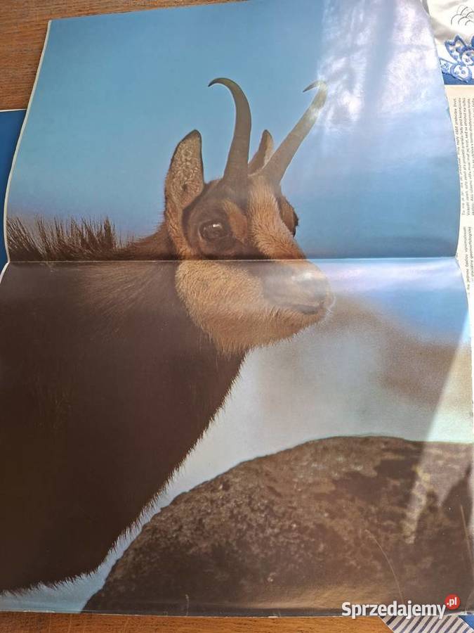 Tatry Milic Blahout Pavol Repka j pol j słowacki Kraków