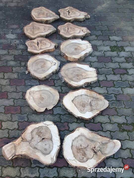 Plastry drewna orzech Pakość sprzedam