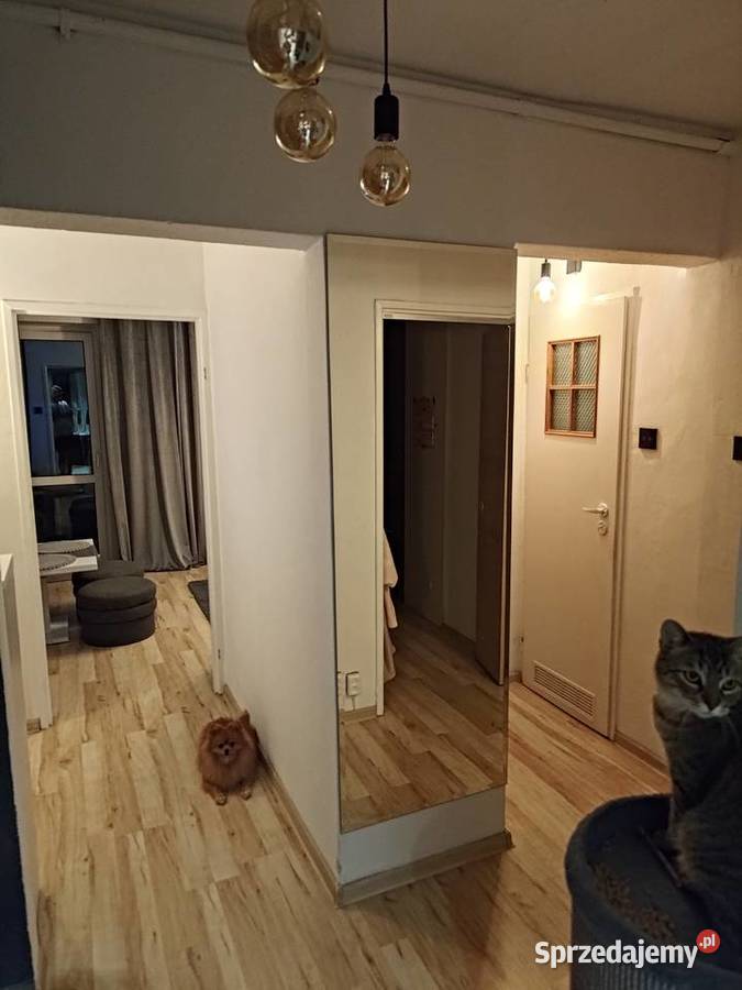 Mieszkanie w centrum Błonia 3 pokojowe o Sprzedaż Błonie