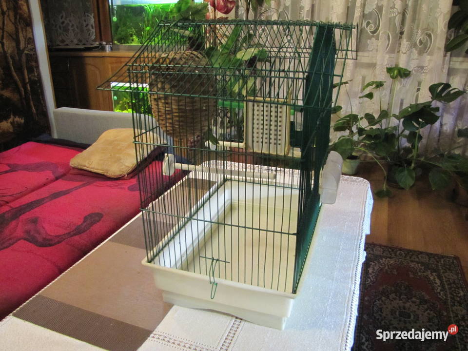 Klatka ptaków Toruń