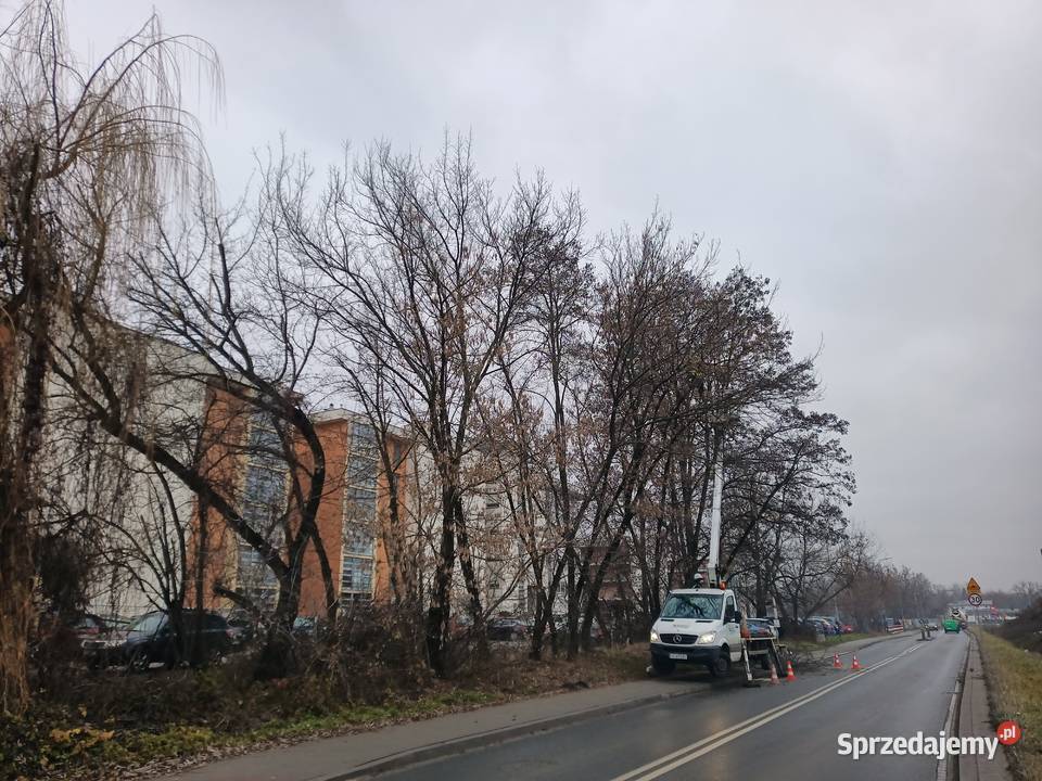 Kompleksowe ogrodnictwo pielęgnacja i wycinka małopolskie Kraków