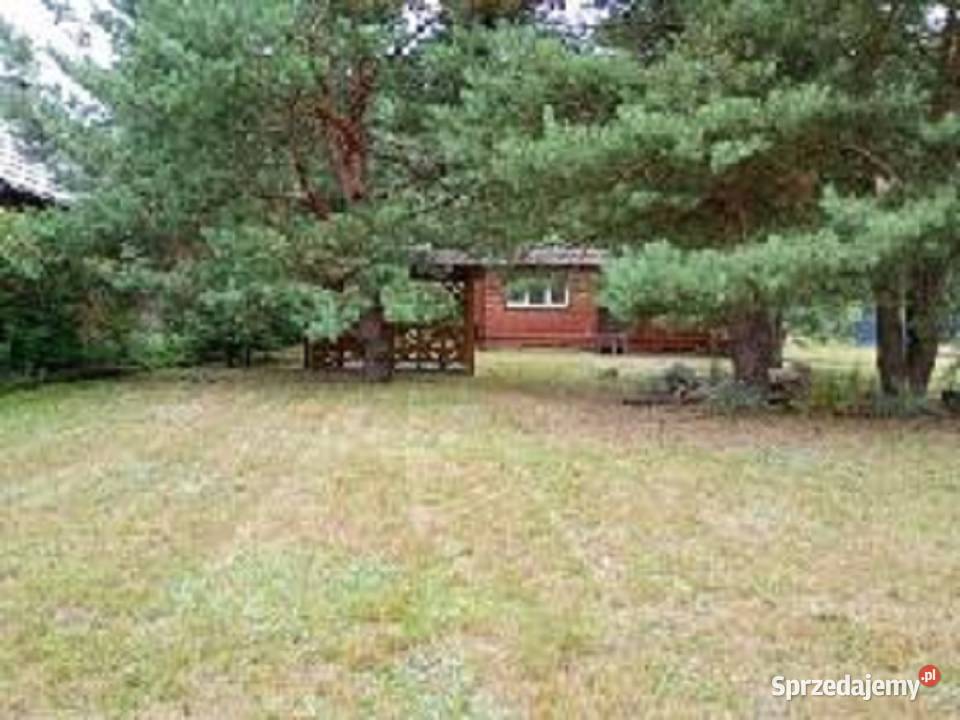 Działka z domkiem 301021m2 Zal Siemianówka 30m2 Nowa Łuka sprzedam
