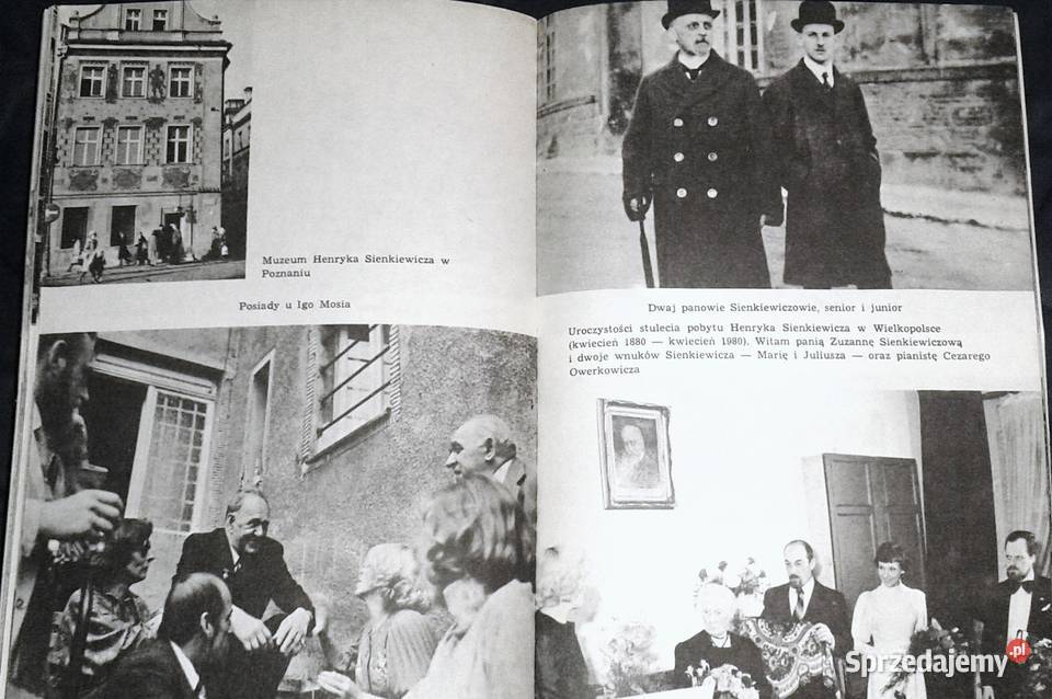 Malwy na lewadach Barbara Wachowicz miękka Chełm