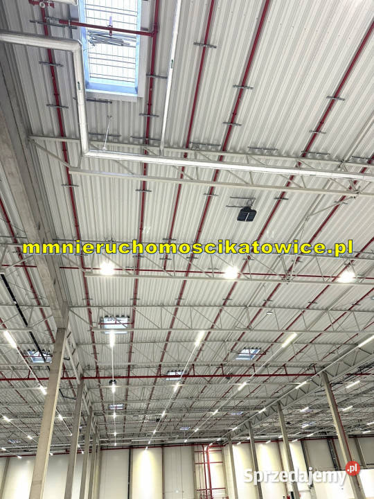 Halamagazyn do wynajęcia Katowice dojazd do