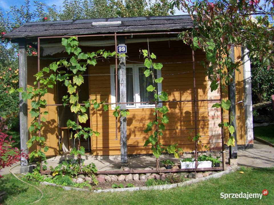 Ogródek działkowy działka rekreacyjna ROD Wiarus Zielona Góra sprzedam