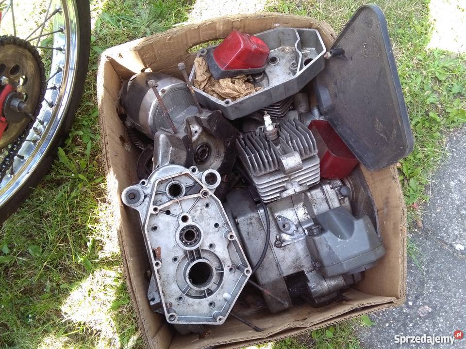 czerwony klasyczny komarek wielkopolskie Jarocin